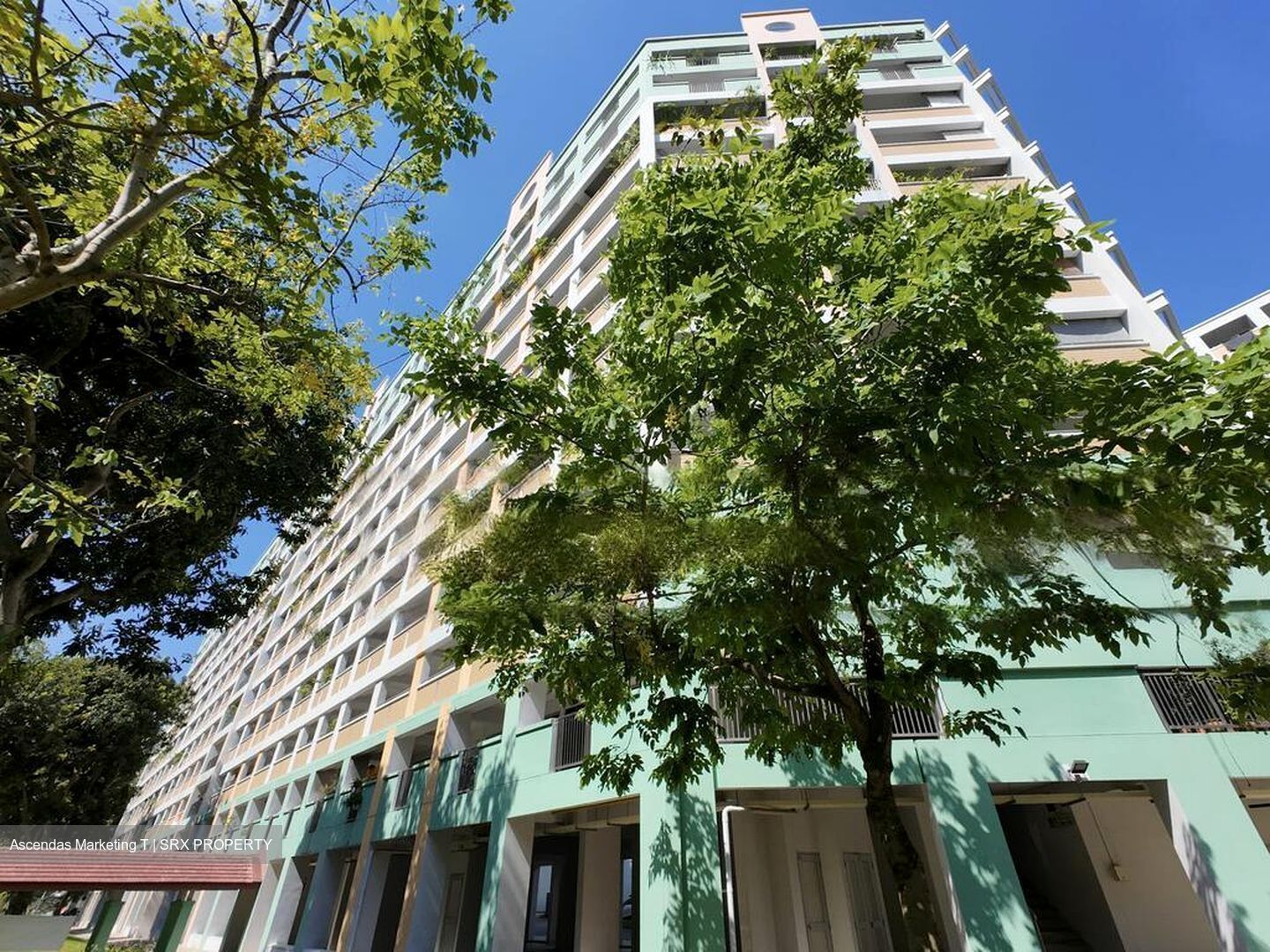 Blk 309 Yishun Rivergreen (Yishun), HDB 4 Rooms #465175191